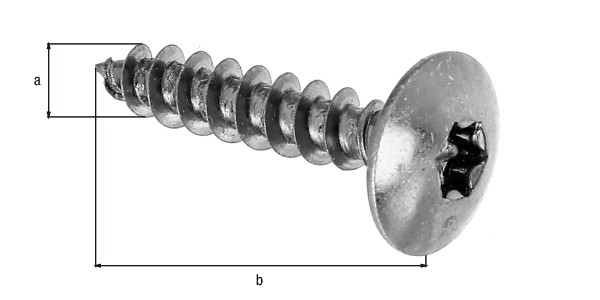 Holzschraube Maxi-Fix