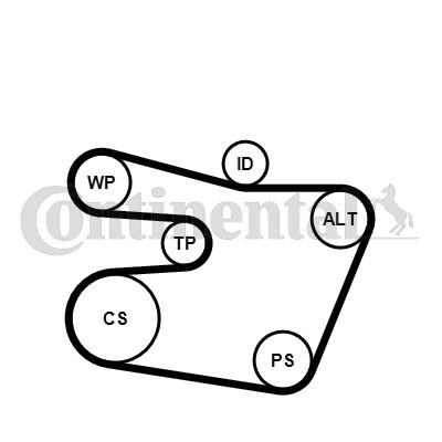 CONTITECH Keilrippenriemensatz 6PK1538K1  BMW,3 Limousine (E46),5 Limousine (E39),3 Touring (E46),3 Coupe (E46),5 Touring (E39),3 Cabrio (E46)