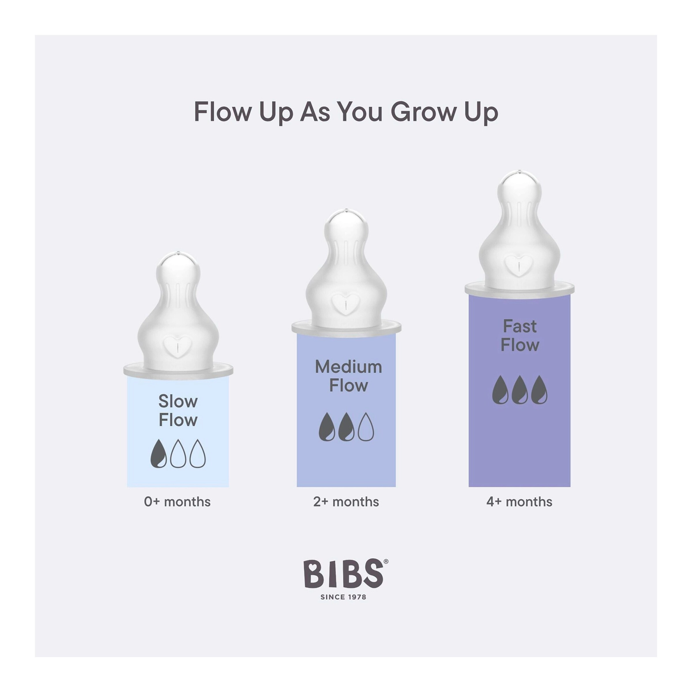 Bibs Babyflasche aus Kunststoff, 270 ml, ab 2M