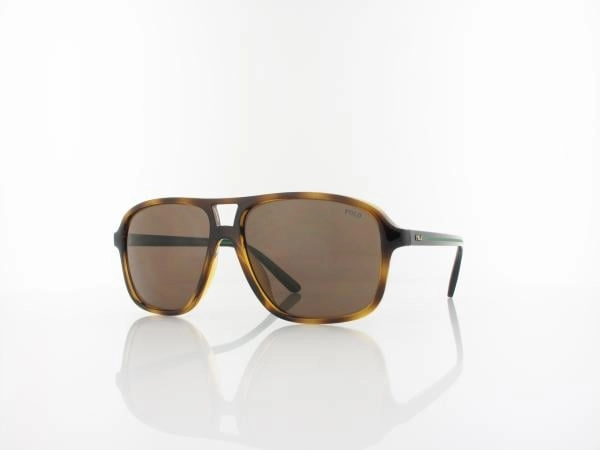 Polo Ralph Lauren PH4177U 500373 58 shiny havana / brown