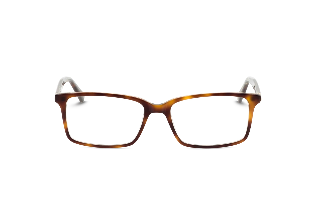 Ted Baker 8280 Herren Brille mit und ohne Sehstärke / Havanna / rechteckig