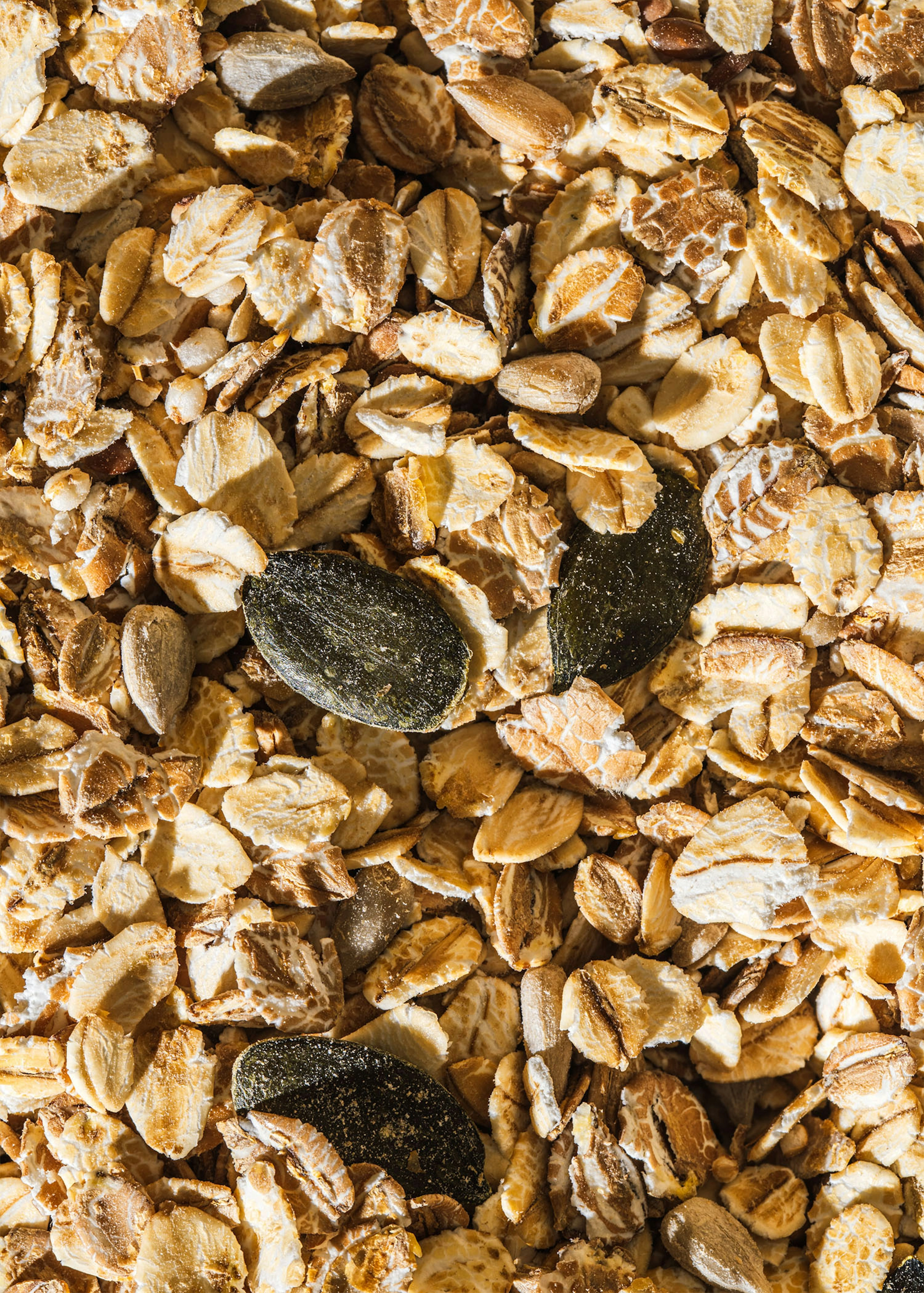 Bio Basis Müsli mit Saaten 2 kg