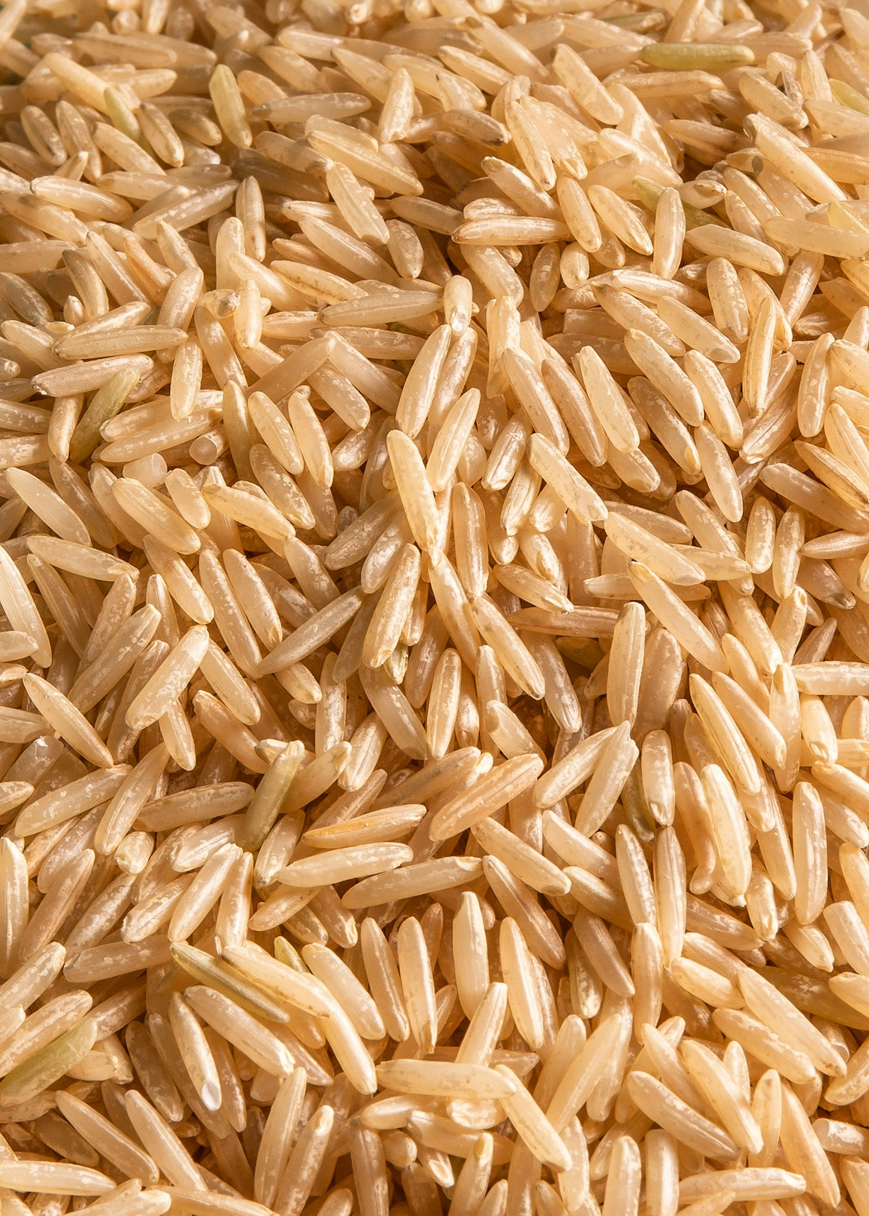 Brauner Bio Basmati Reis 5 kg