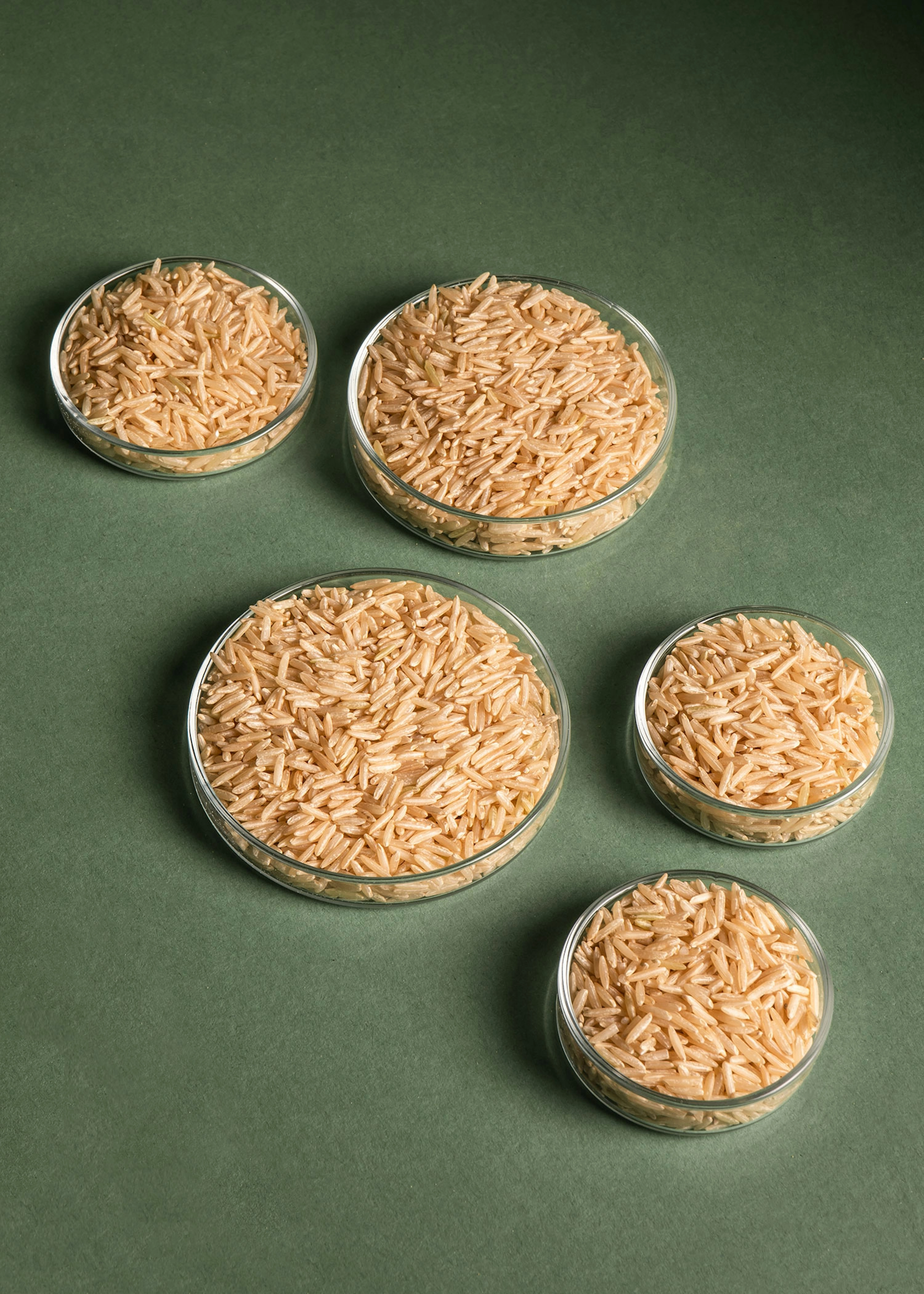 Brauner Bio Basmati Reis 5 kg