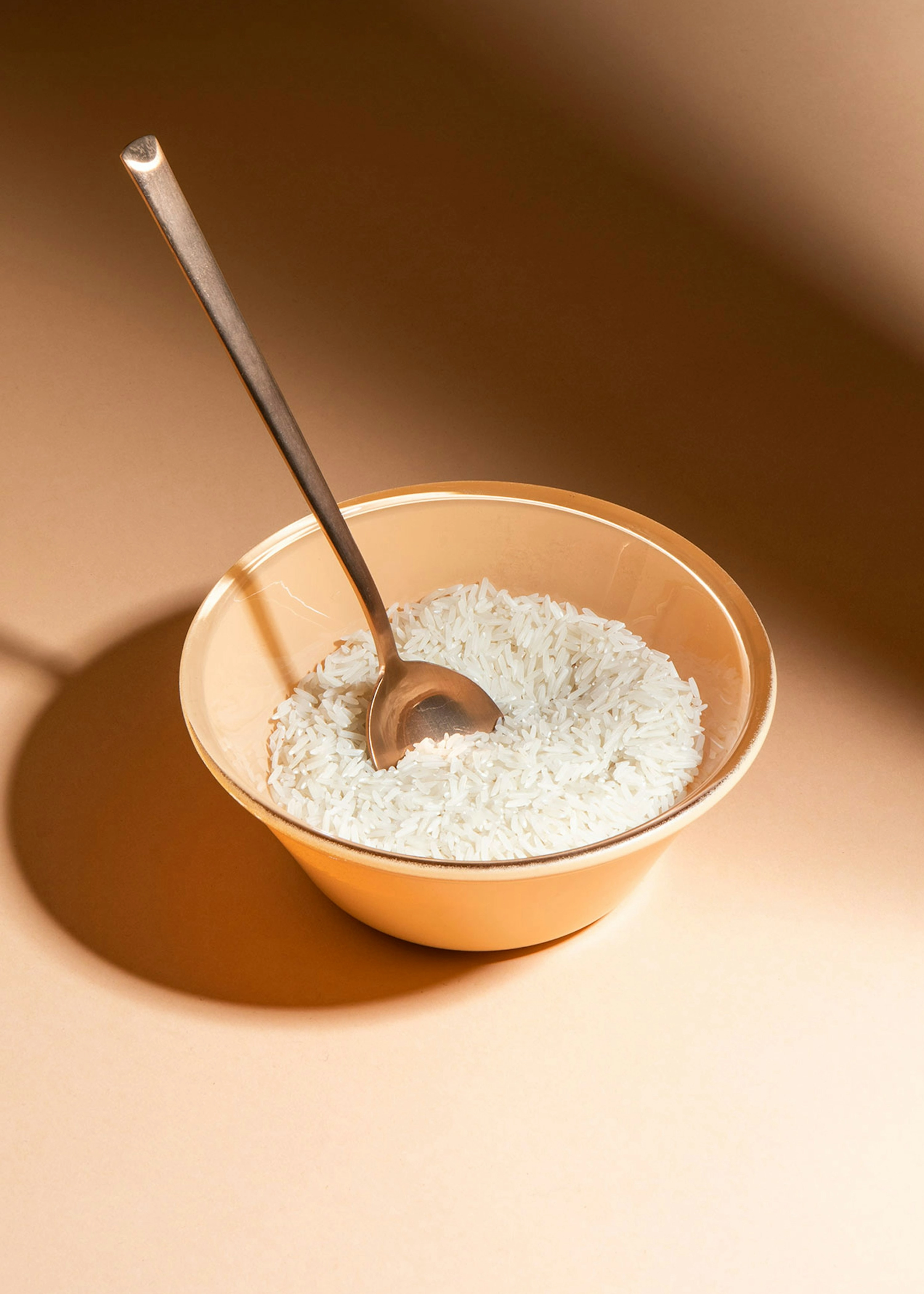 Weißer Bio Basmati Reis 5 kg