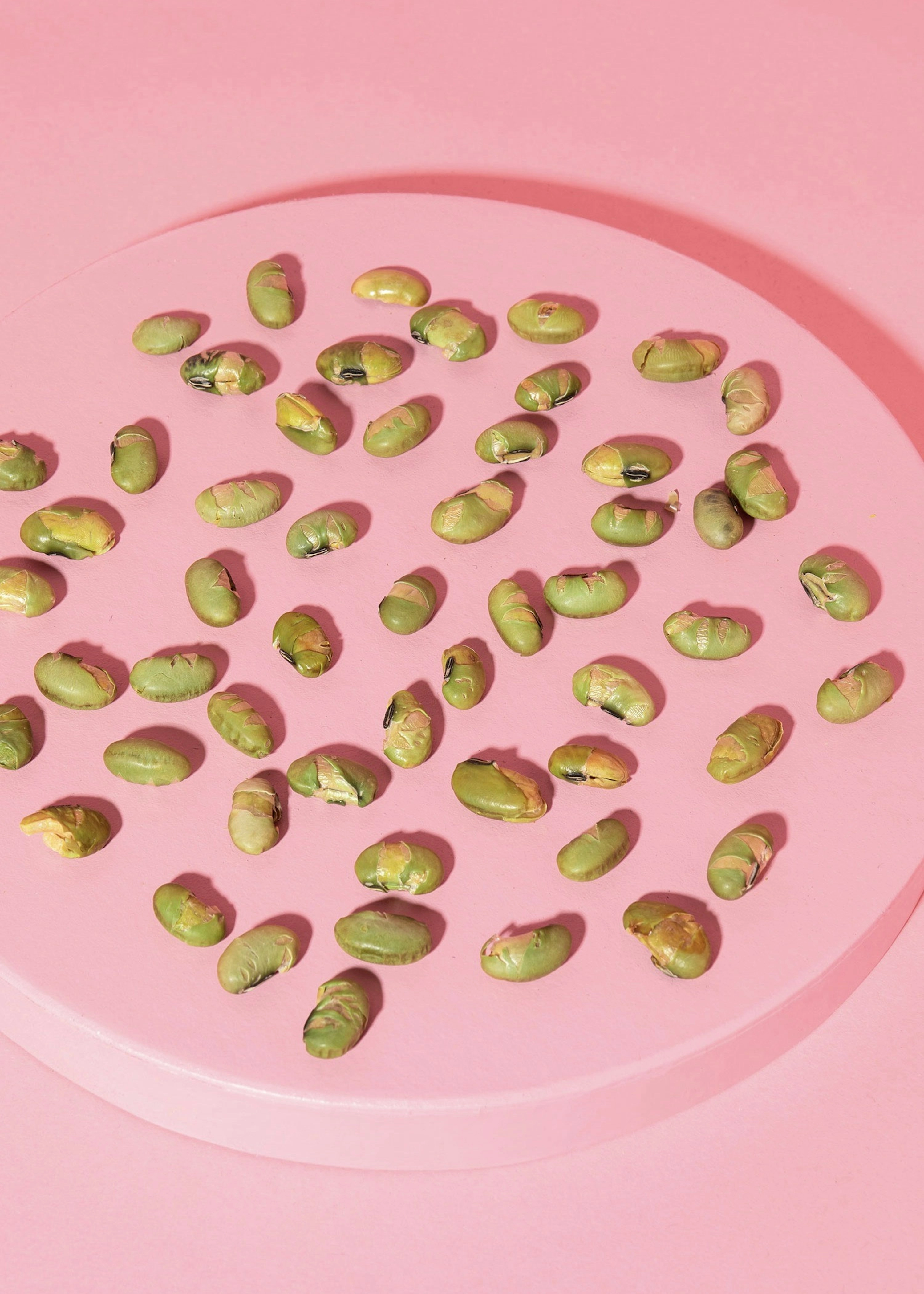 Geröstete und gesalzene Edamame Bohnen 750 g