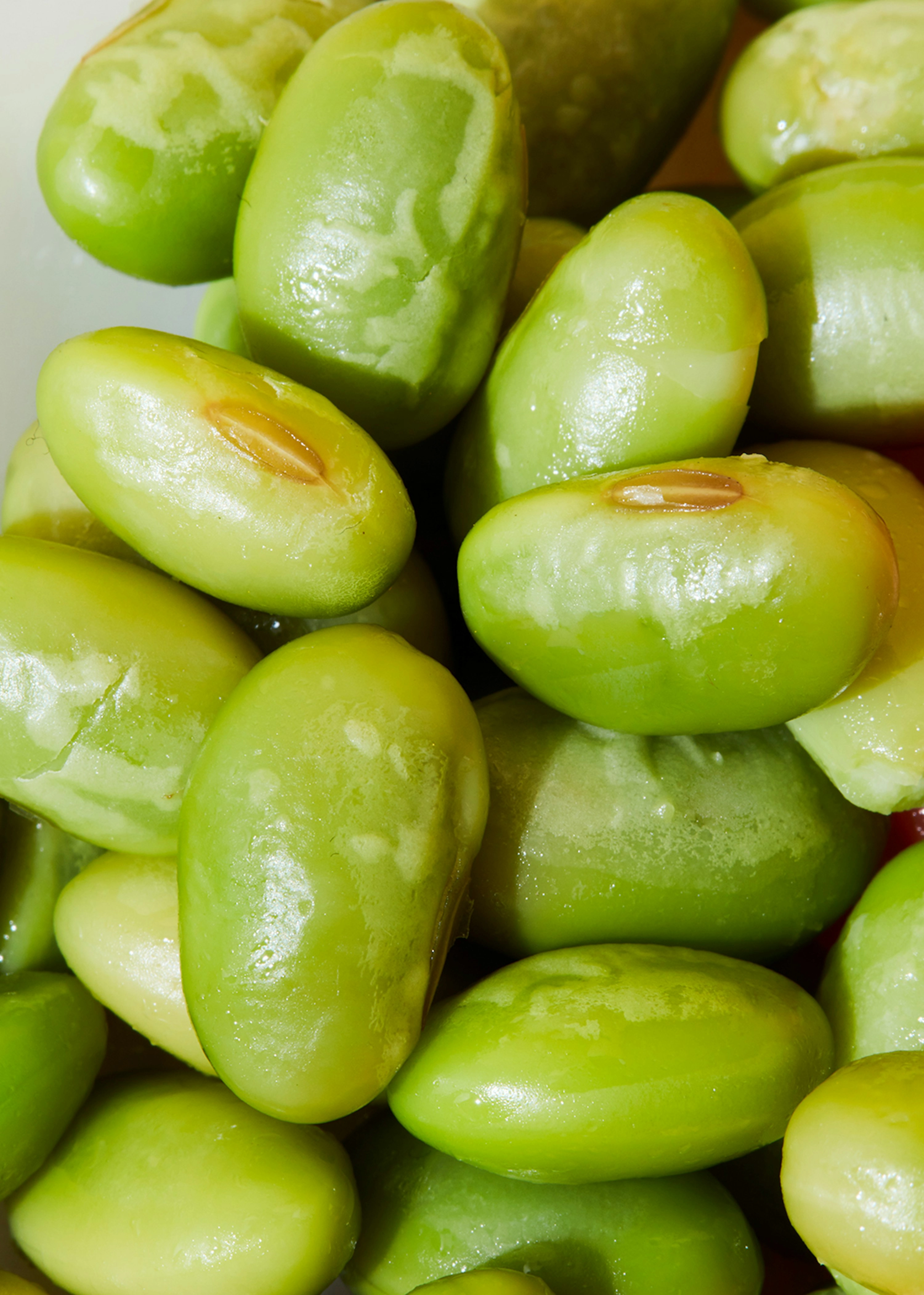 Grüne Bio Edamame in der Dose 12 x 130 g