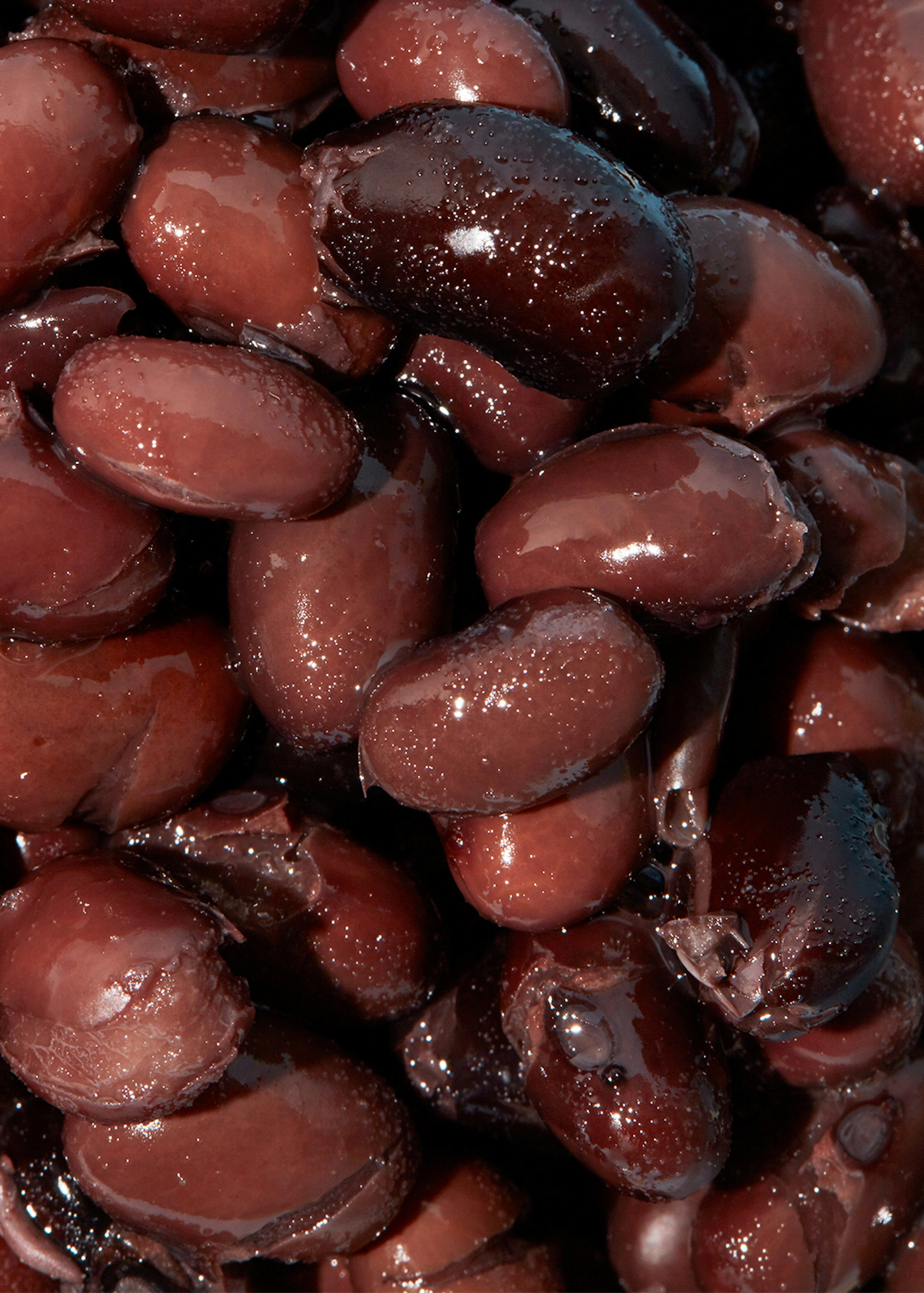 Schwarze Bio Bohnen in der Dose 240 g
