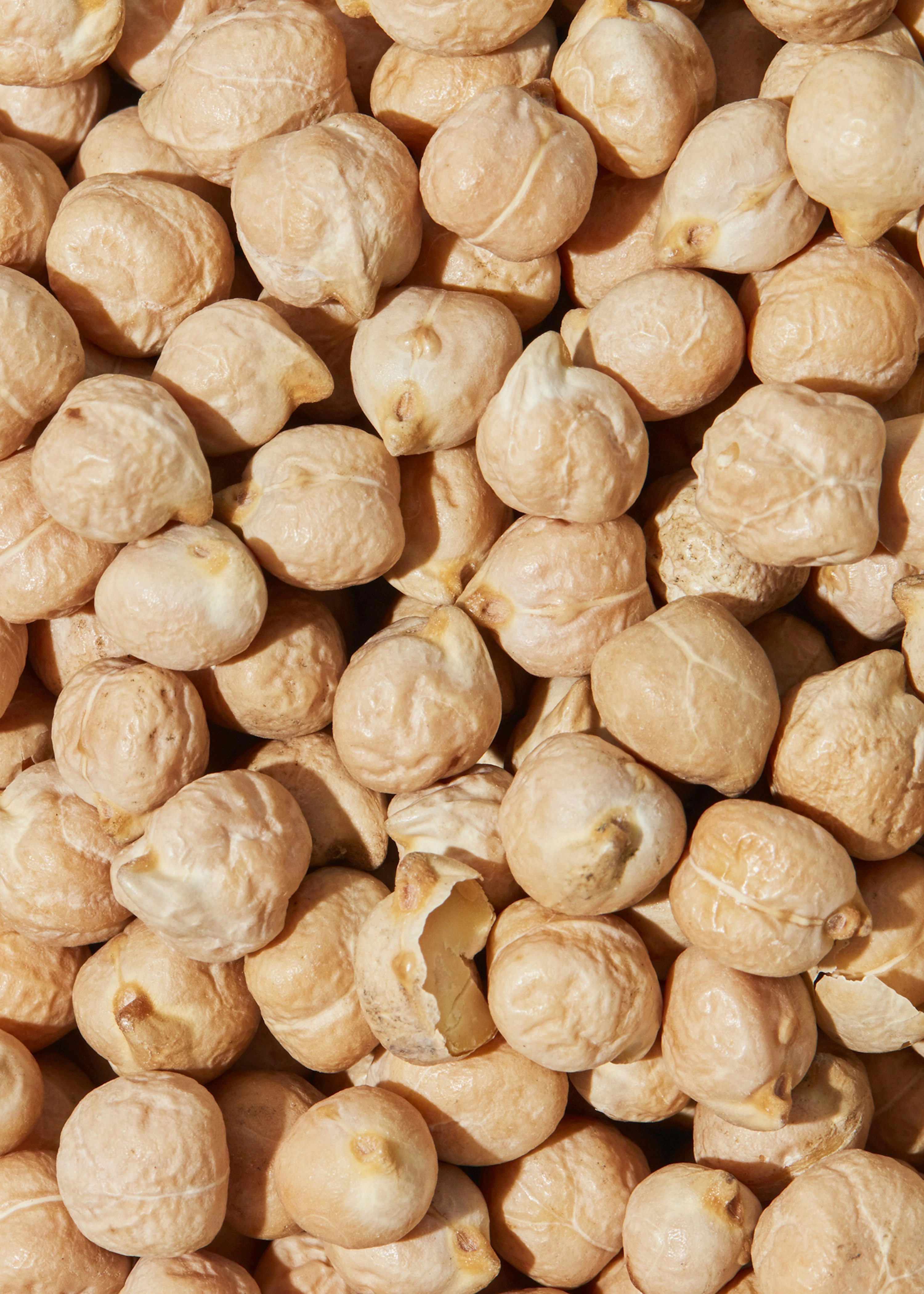Bio Kichererbsen 25 kg