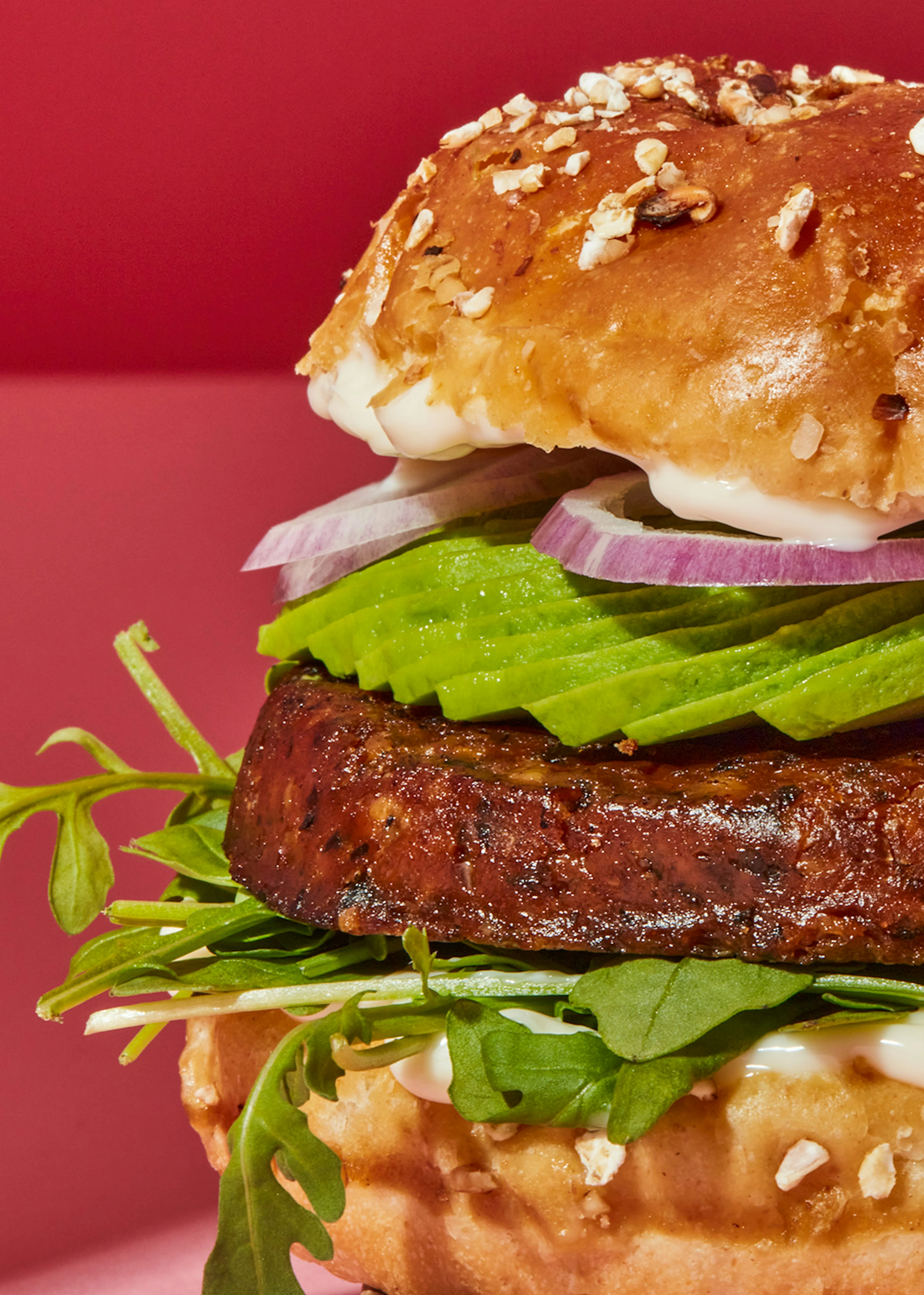 Veganer Bio Burger Tofu und Wakame 12 x 160 g