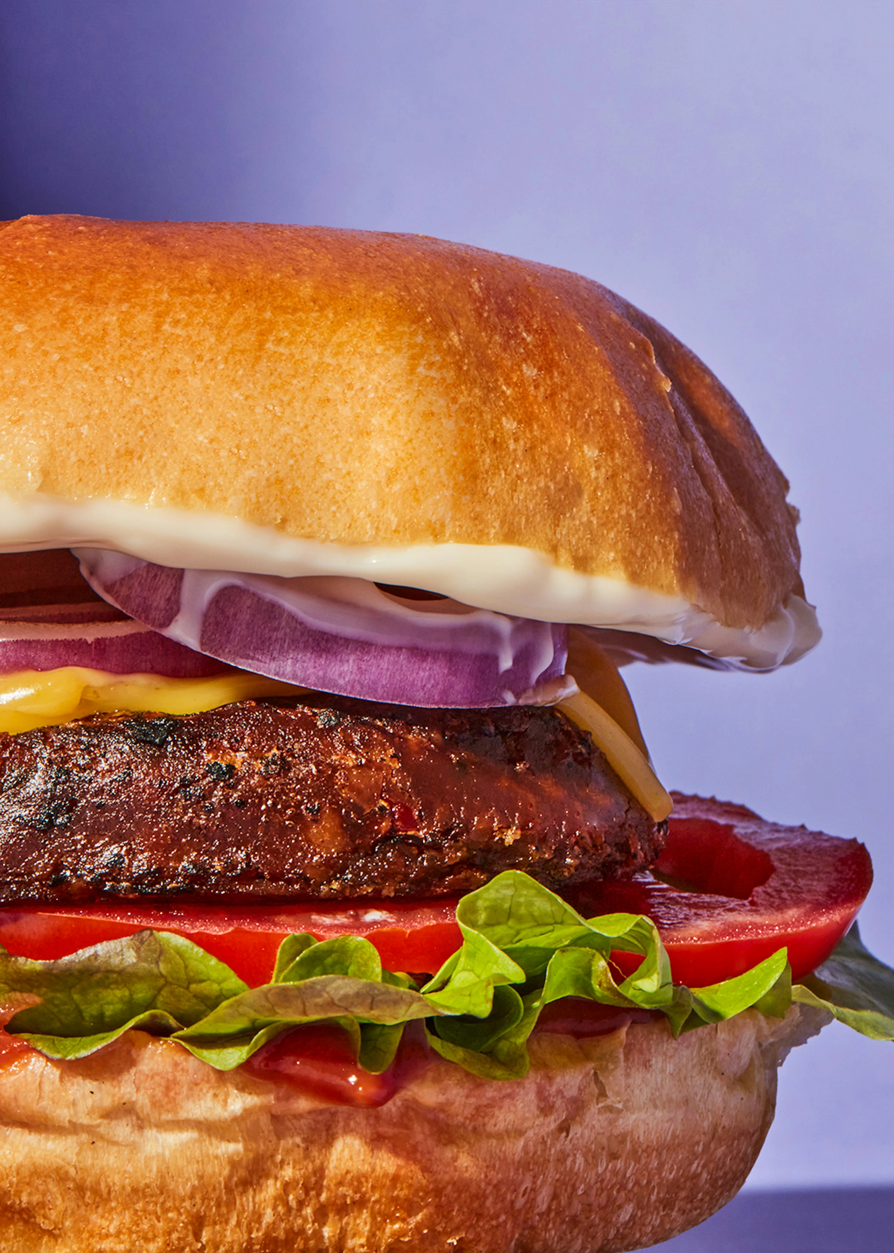 Veganer Bio Burger Shiitake und Paprika 12 x 160 g