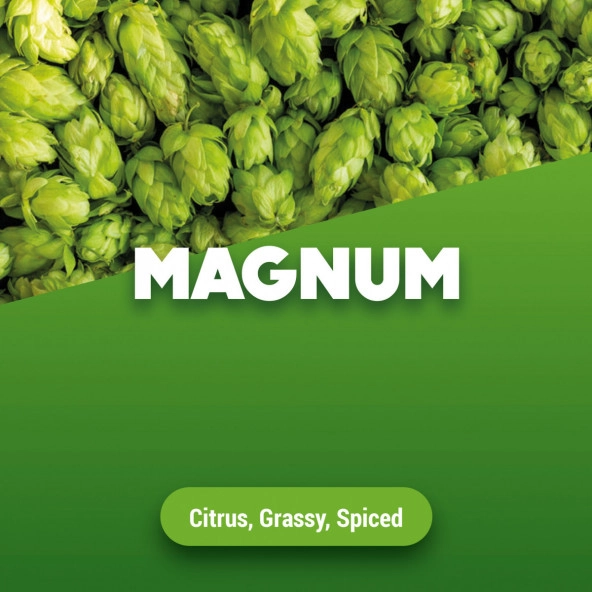 Rohhopfen Magnum 5 kg