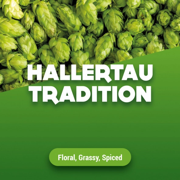 Rohhopfen Hallertau Tradition 1 kg
