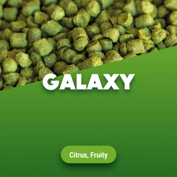 Hopfenpellets Galaxy - 1 kg