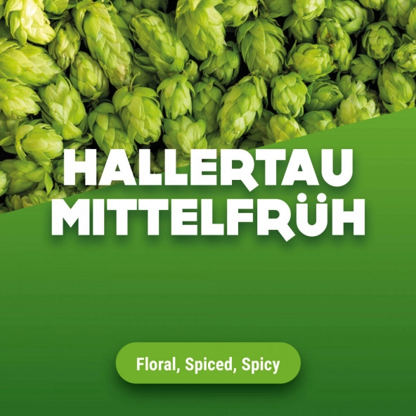 Rohhopfen Hallertau Mittelfrüh 2024 5 kg