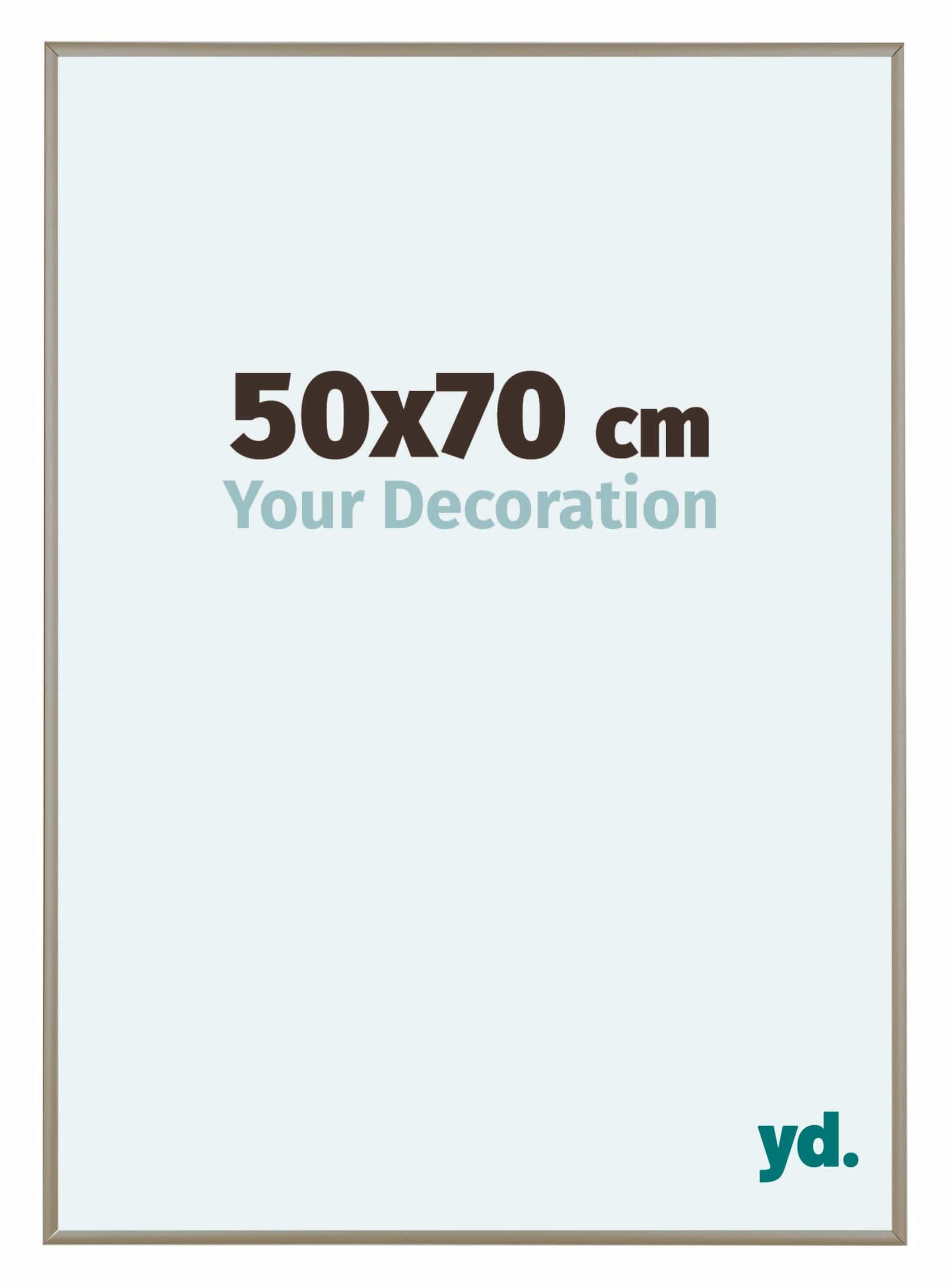 Bilderrahmen 68x98 cm - Champagner - Aluminium - Austin