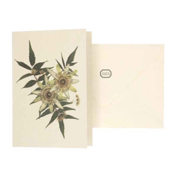 Karte mit umschlag, passionsblume