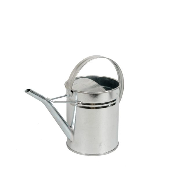 Gießkanne, zink, 2 l