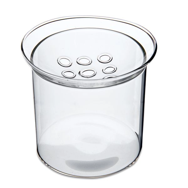 Keimvase, glas, groß
