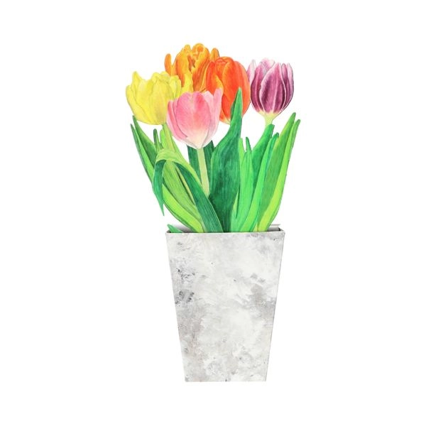 3-d-karte mit umschlag, tulpen