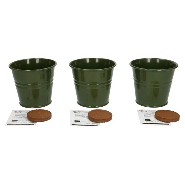 Anzuchtset gartenkräuter, biologisch, mit 3 zinktöpfen