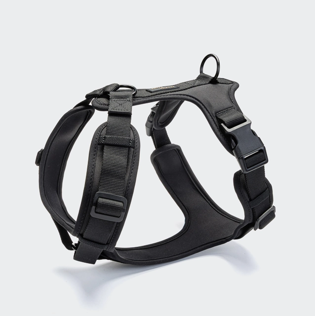 Cloud7 Y-3 Geschirr AKTIV Softshell Black S S Schwarz für Welpen | für alle Hunde | verstellbar | gepolstert | ergonomisch | rückenschonend | optimale