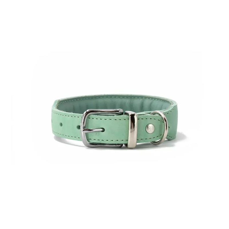 Maul Ledermanufaktur Leder-Halsband Mono Pop in Mint 60 60 Mint für Welpen | für alle Hunde | klassisches Halsband | robustes Halsband | weiches Mater