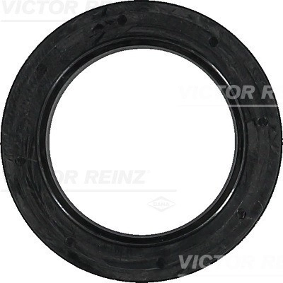 REINZ Kurbelwellendichtring 81-36557-00 Radialwellendichtring,Simmerring OPEL,FORD,FIAT,GRANDLAND X (A18),Zafira Life (K0),Vivaro C Kastenwagen (K0)