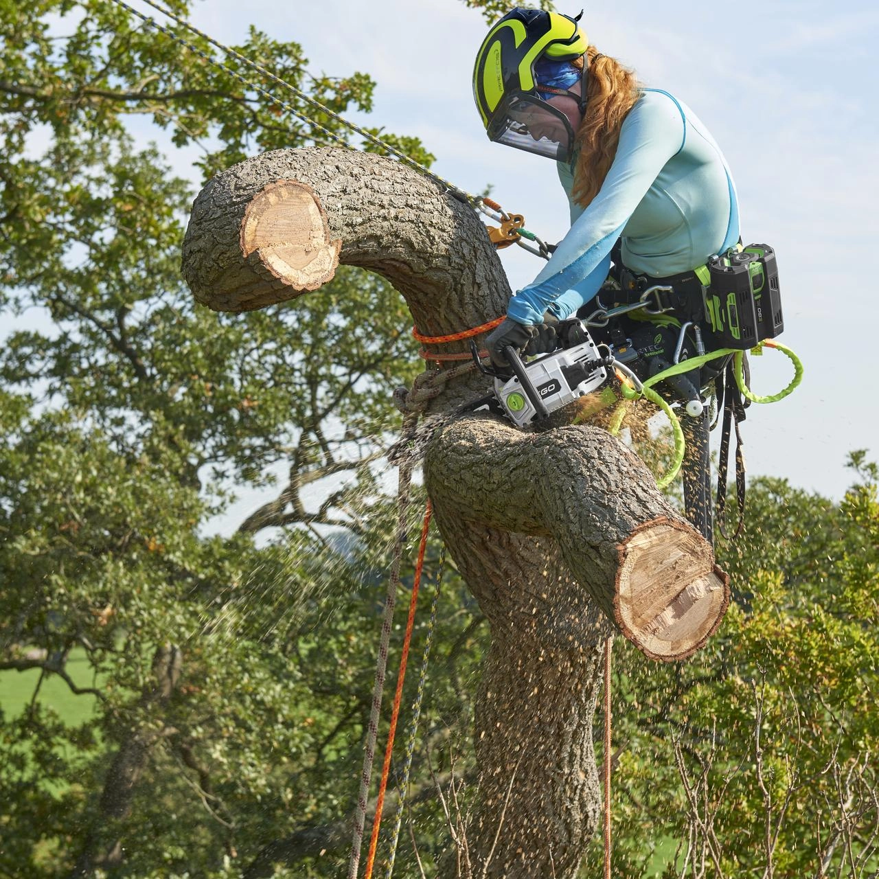 EGO CSX3002 30cm Akku Top-Handle Sägen-Kit