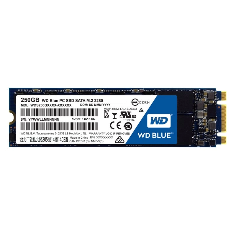 Western Digital Blue PC 250 GB M.2