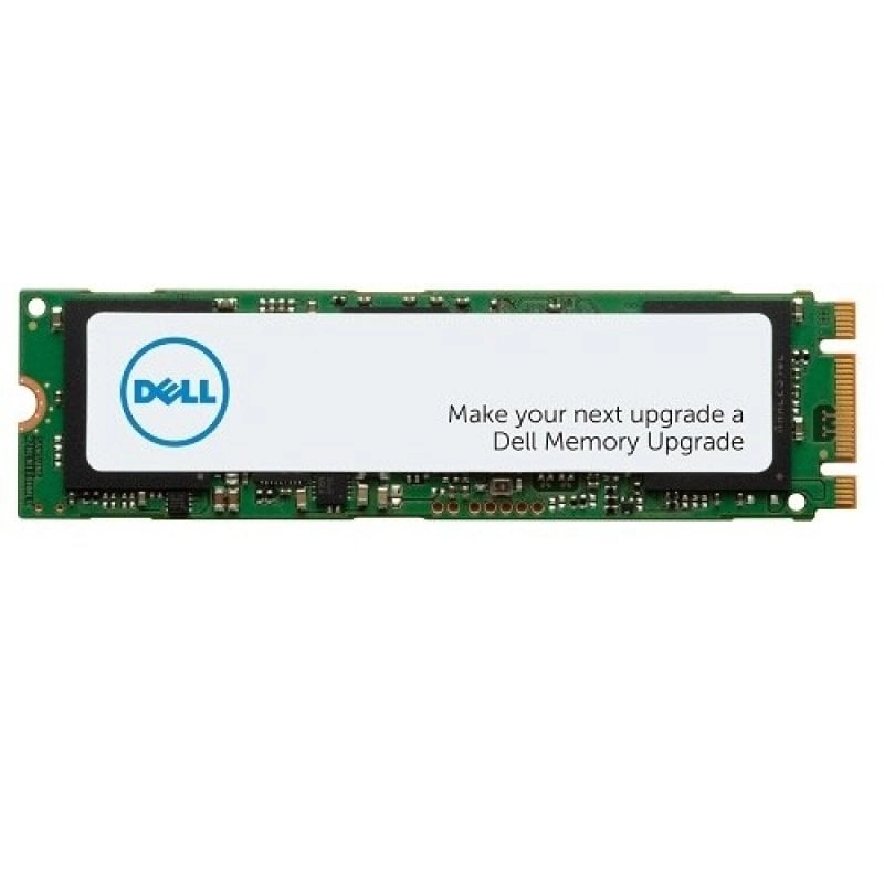 DELL AA615520 Internes Solid State Drive 1 TB M.2 PCI Express NVMe