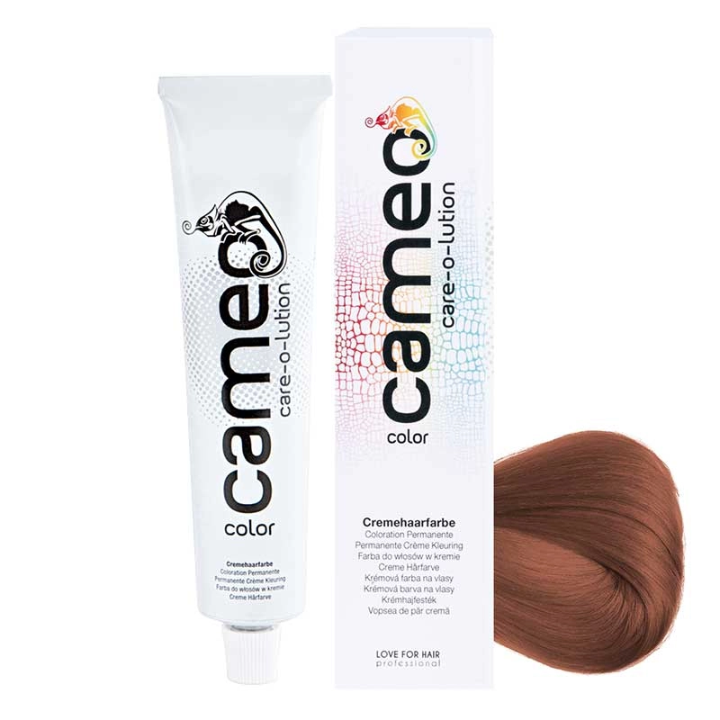 cameo color 6/73 Dunkelblond Braun-Gold (60 ml)