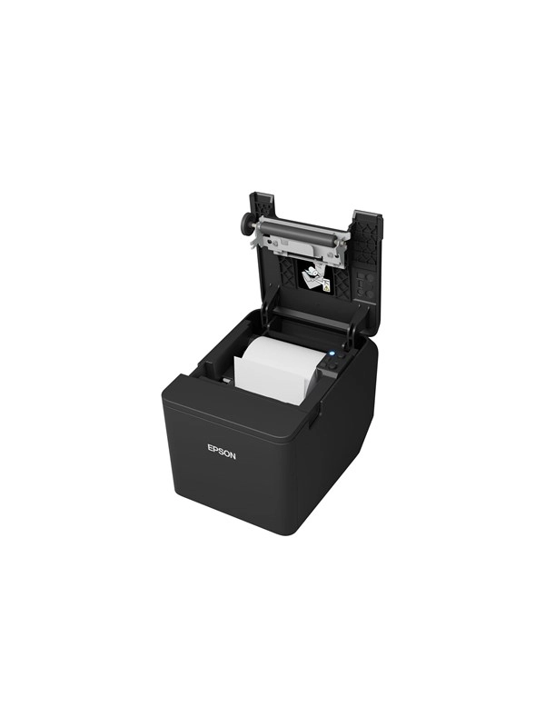 Epson TM T20IV (101) - Einfarbig - Thermal Inkjet