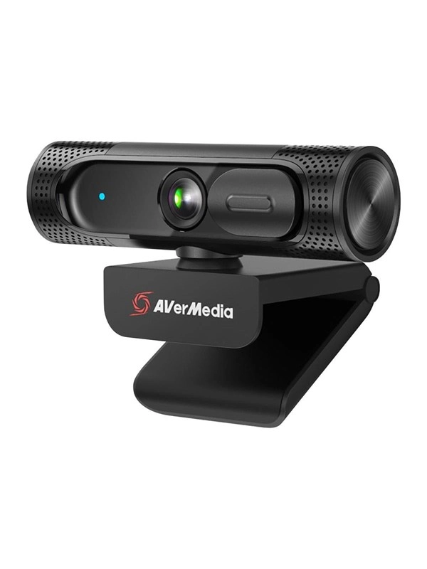 AverMedia PW315 - webcam