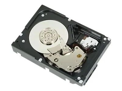 Dell - 2TB - Festplatten - R755K - 3.5"