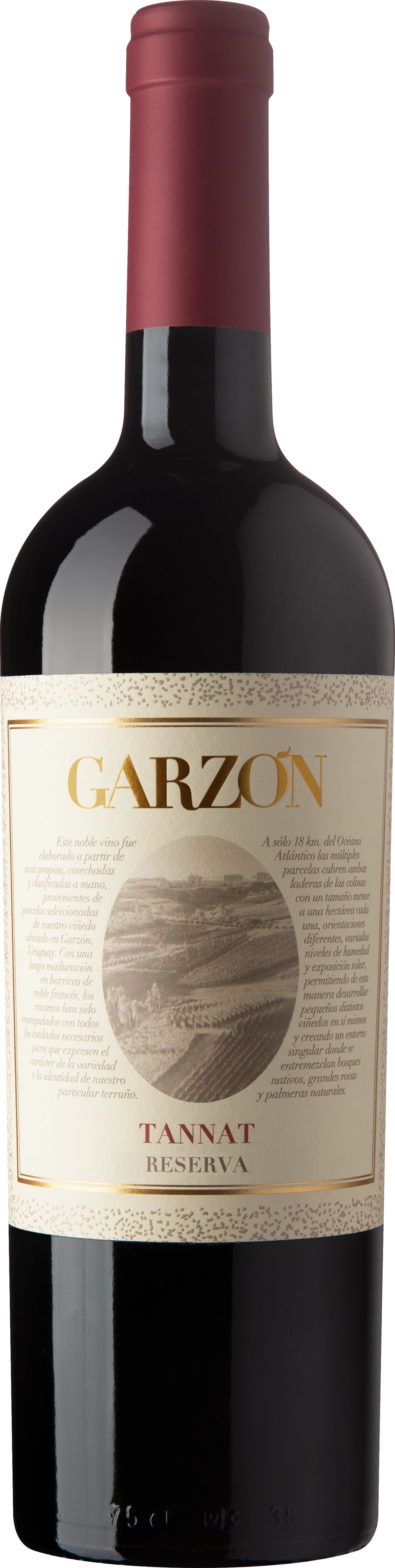 Bodega Garzon Reserva Tannat 2023