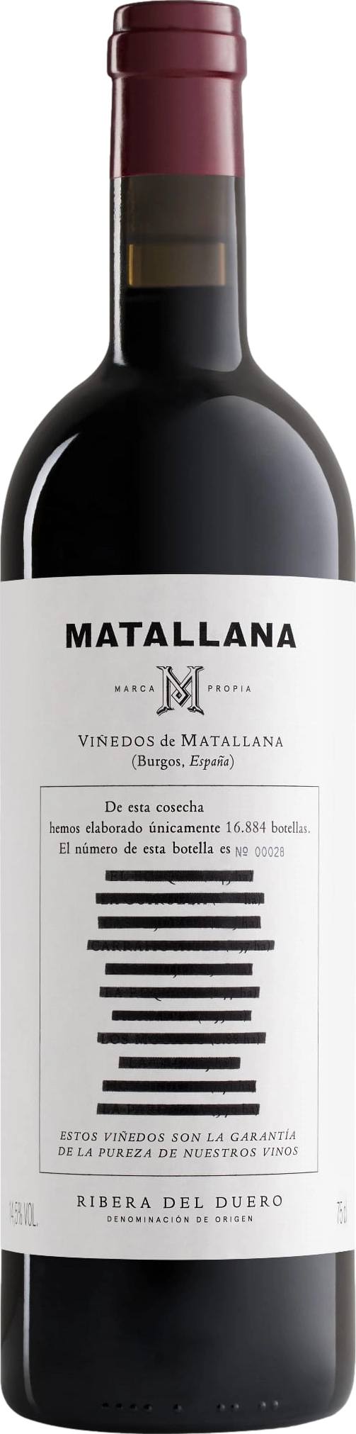 Telmo Rodriguez Matallana 2020