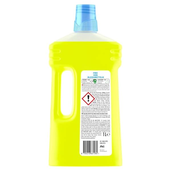 Meister Proper Allzweckreiniger Citrusfrische