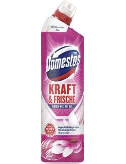 Domestos Kraft & Frische WC-Gel Floral Fresh