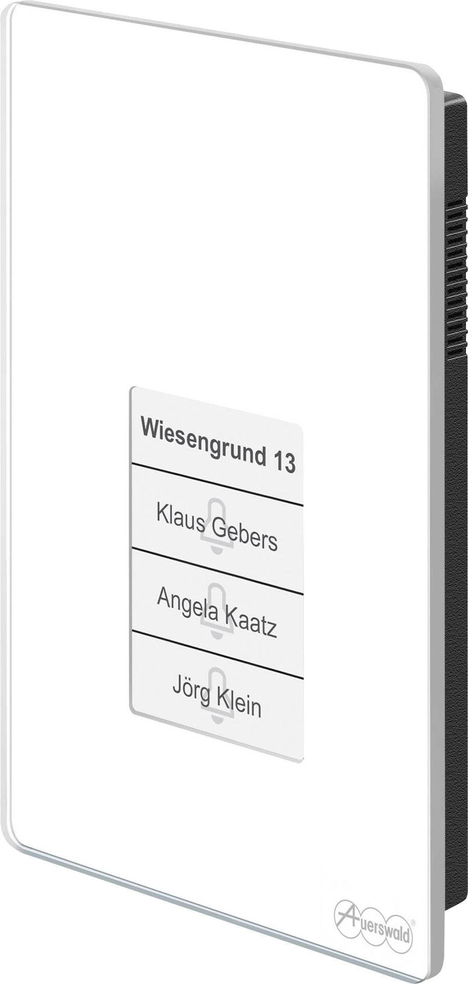 TFS-Dialog 400 Türsprecheinrichtung weiß