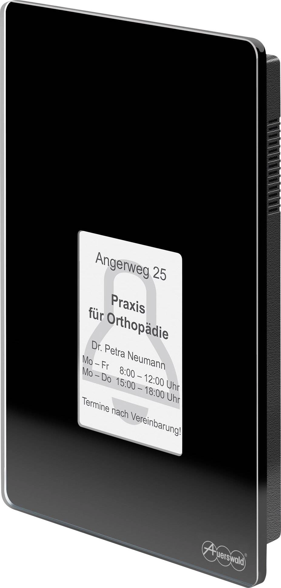 TFS-Dialog 400 Türsprecheinrichtung schwarz