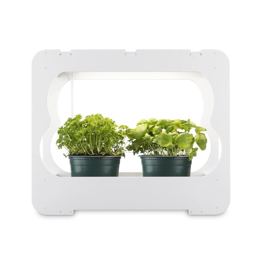 Gewächsstation mit LED-Pflanzenlam. ca. 3 Töpfe Ø 10cm weiss