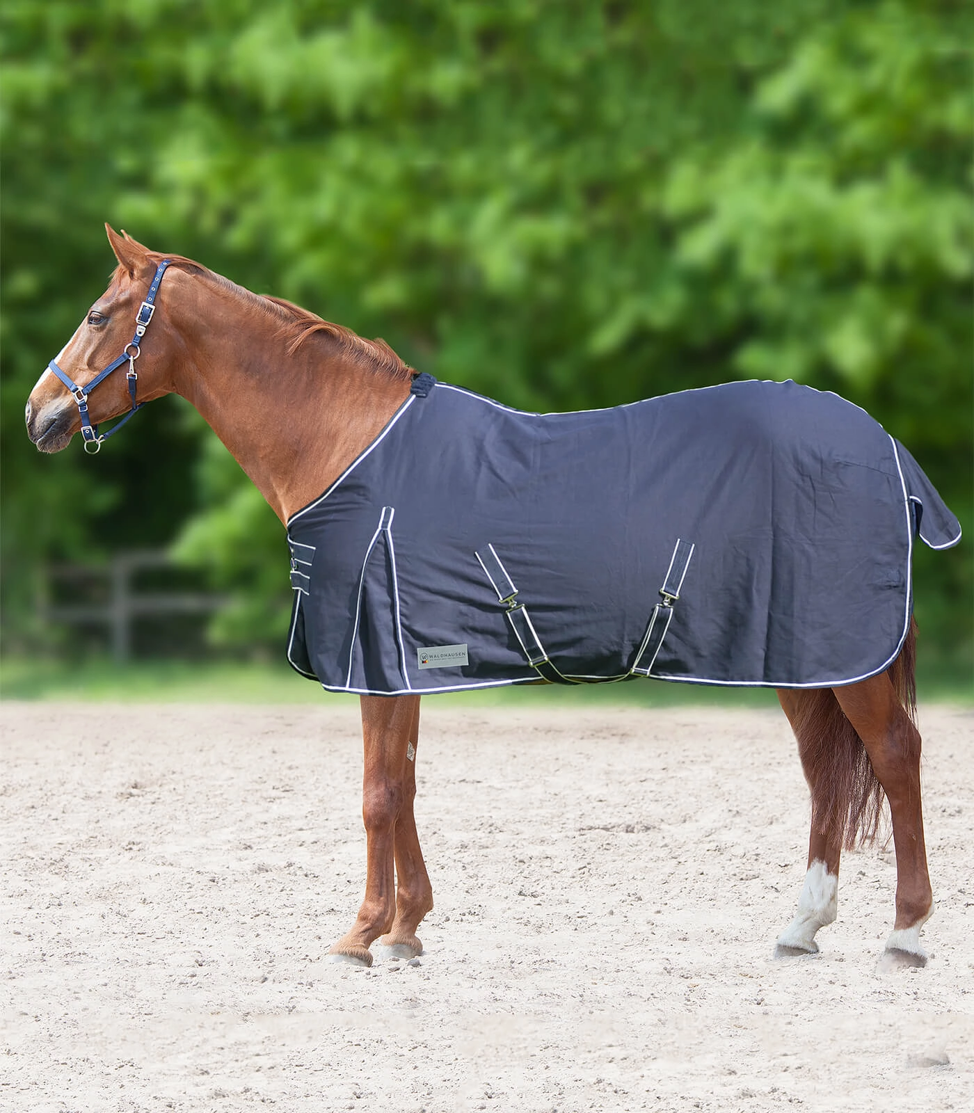 Stall- und Sommerdecke 0g Comfort Nachtblau / 125 cm