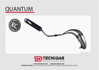 Auspuff Tecnigas Quantum Rieju MRT 50
