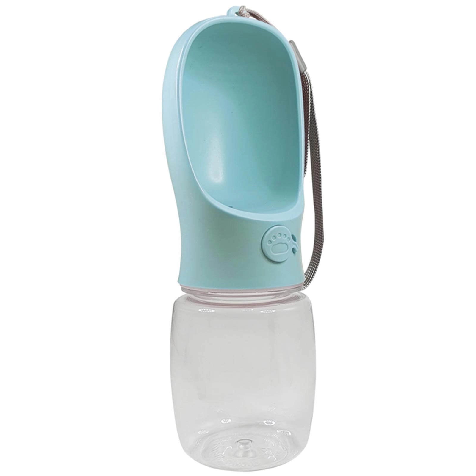 Trinkflasche 2 in 1 Wasserspender Mint / 550 ml