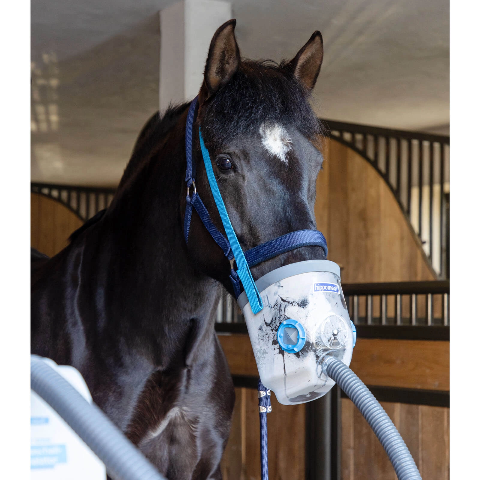 Inhalationsmaske für AirOne Pferdeinhalator Pony