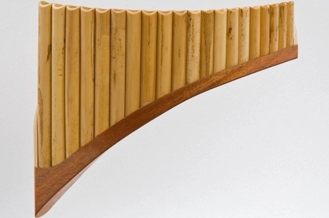 Plaschke S20G Panflöte G-Dur /20 Rohre Holzschuh, Schilf, elektronisch gestimmt