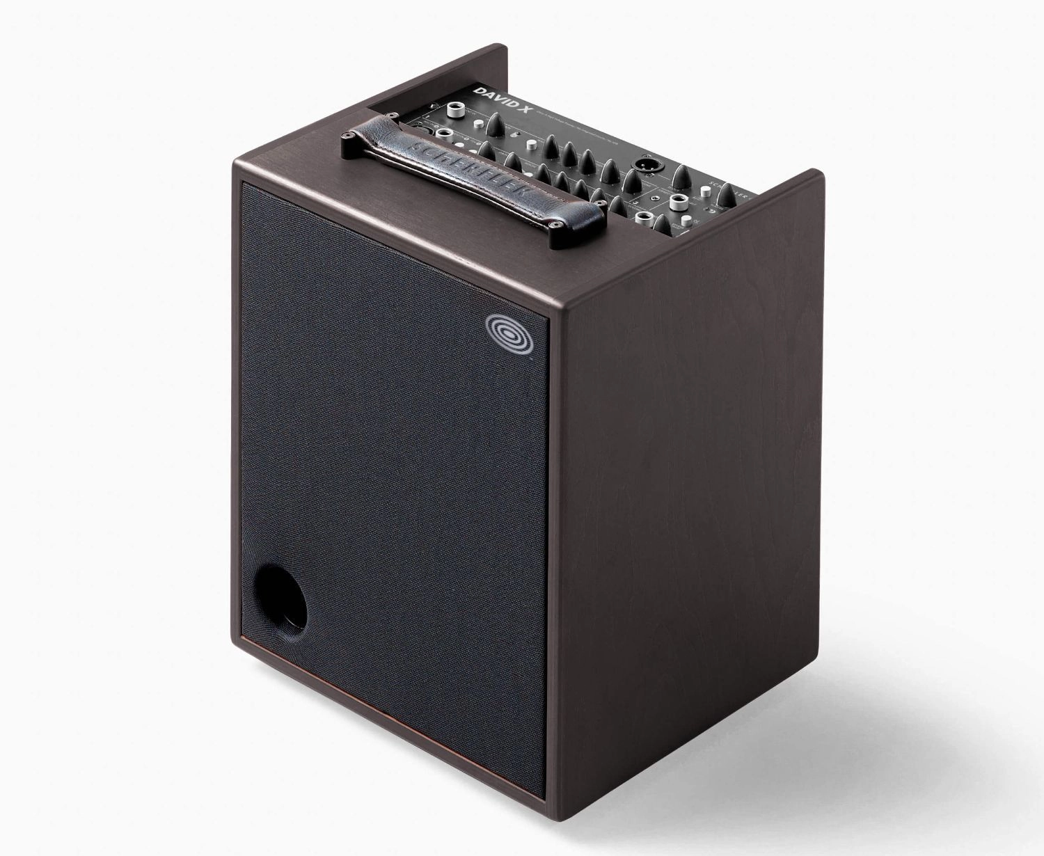 Schertler David-X Wood 120 Watt Akustikverstärker in Holzoptik