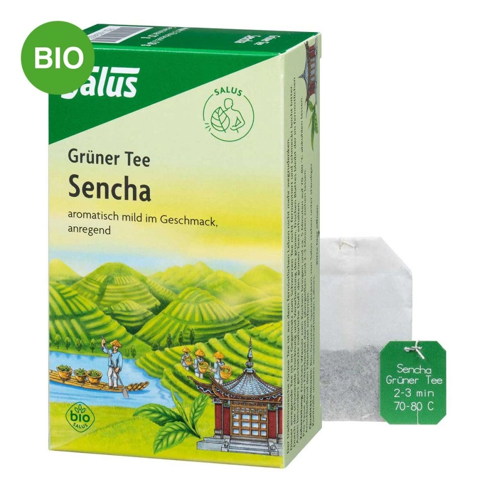 GrÃ¼ner Tee bio Salus Filterbeutel