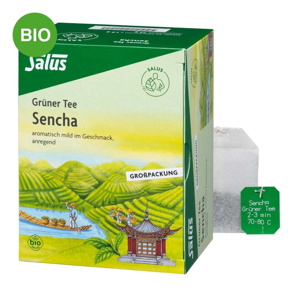 GrÃ¼ner Tee bio Salus Filterbeutel Grosspackung
